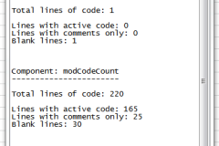 Text file with the results of the code count