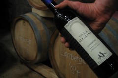 WG01_Barriques2005-03