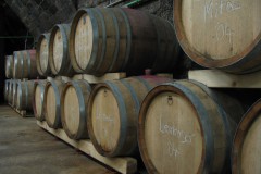 WG03_Barriques2005-04